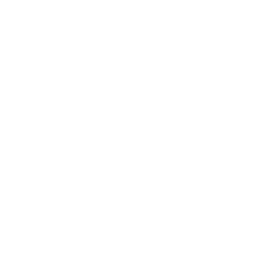 White lightning bolt icon